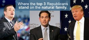 SaveAmerica.com 2016 Presidential Report Card on the Natural Family