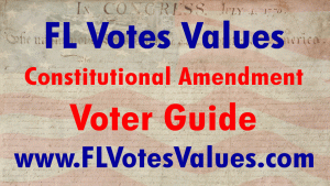 Florida Constitutional Amendment Voter Guide